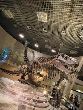 国立科学博物館に投稿された画像（2021/8/19）