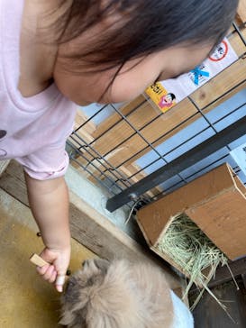 神戸どうぶつ王国に投稿された画像（2021/8/19）