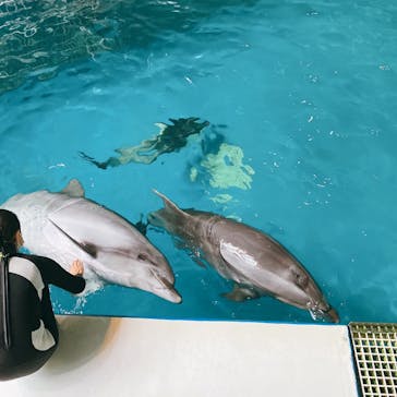 マクセル アクアパーク品川に投稿された画像（2021/8/19）