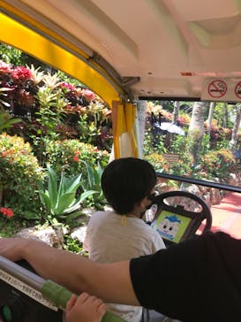 ナゴパイナップルパークに投稿された画像（2021/8/19）