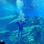 仙台うみの杜水族館に投稿された画像（2021/8/19）