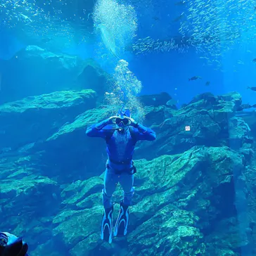 仙台うみの杜水族館に投稿された画像（2021/8/19）