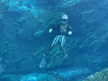 仙台うみの杜水族館に投稿された画像（2021/8/19）