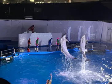 仙台うみの杜水族館に投稿された画像（2021/8/19）