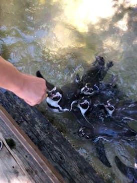 那須どうぶつ王国に投稿された画像（2021/8/19）