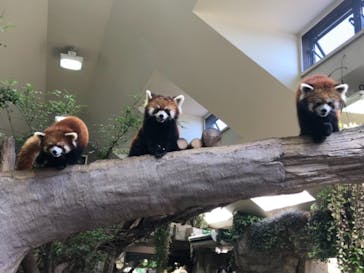 那須どうぶつ王国に投稿された画像（2021/8/19）