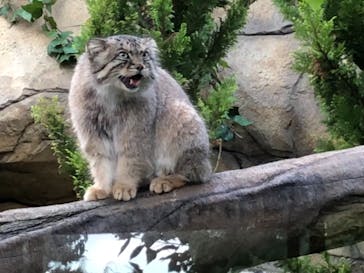 那須どうぶつ王国に投稿された画像（2021/8/19）