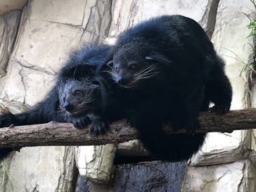 那須どうぶつ王国に投稿された画像（2021/8/19）