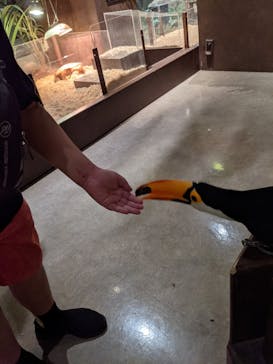 Moff animal world MARK IS みなとみらい店に投稿された画像（2021/8/19）