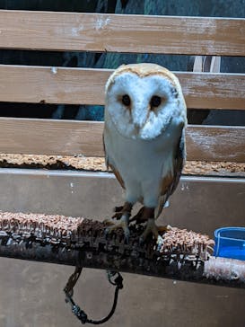 Moff animal world MARK IS みなとみらい店に投稿された画像（2021/8/19）