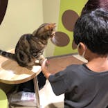 Moff animal world MARK IS みなとみらい店に投稿された画像（2021/8/19）