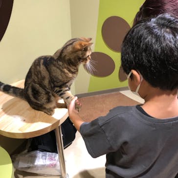 Moff animal world MARK IS みなとみらい店に投稿された画像（2021/8/19）