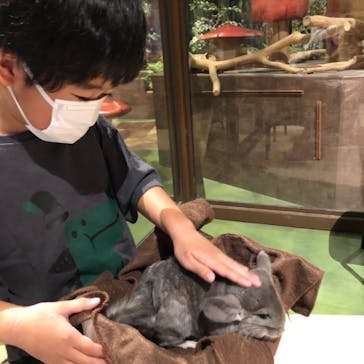 Moff animal world MARK IS みなとみらい店に投稿された画像（2021/8/19）