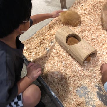 Moff animal world MARK IS みなとみらい店に投稿された画像（2021/8/19）