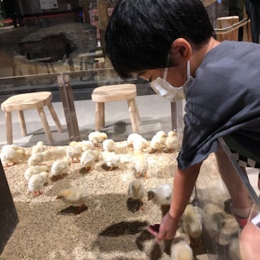 Moff animal world MARK IS みなとみらい店に投稿された画像（2021/8/19）