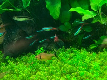 サンシャイン水族館に投稿された画像（2021/8/19）