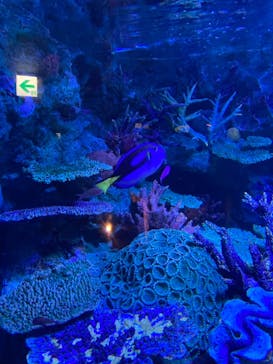 サンシャイン水族館に投稿された画像（2021/8/19）