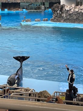 名古屋港水族館に投稿された画像（2021/8/19）