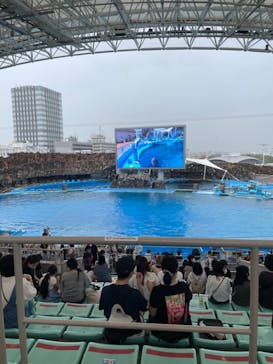 名古屋港水族館に投稿された画像（2021/8/19）