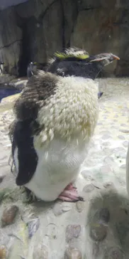 仙台うみの杜水族館に投稿された画像（2021/8/19）