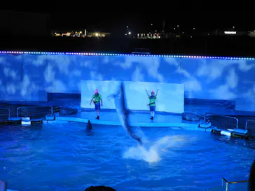 仙台うみの杜水族館に投稿された画像（2021/8/19）