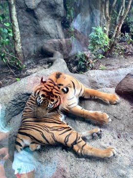 神戸どうぶつ王国に投稿された画像（2021/8/19）