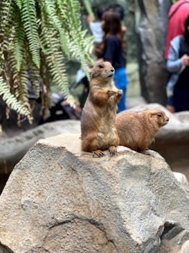神戸どうぶつ王国に投稿された画像（2021/8/19）