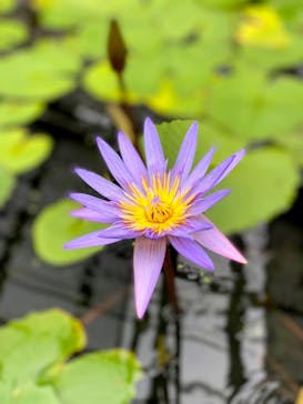 神戸どうぶつ王国に投稿された画像（2021/8/19）