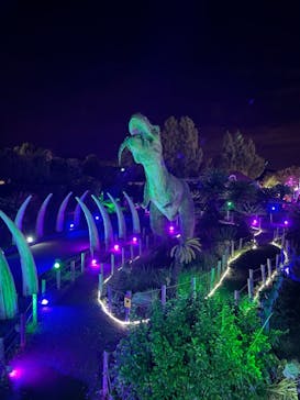 伊豆ぐらんぱる公園に投稿された画像（2021/8/19）