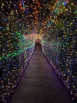 伊豆ぐらんぱる公園に投稿された画像（2021/8/19）