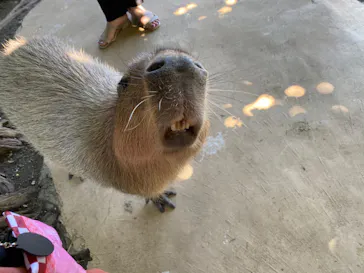 横浜・八景島シーパラダイスに投稿された画像（2021/8/19）