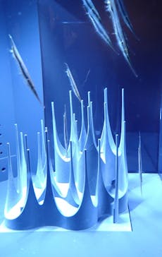 京都水族館に投稿された画像（2021/8/20）