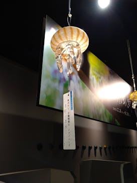 京都水族館に投稿された画像（2021/8/20）