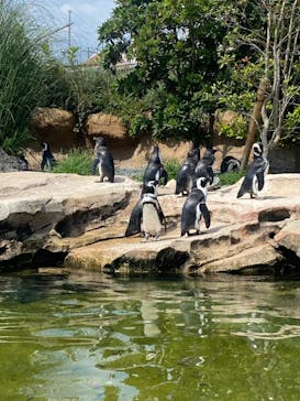 神戸どうぶつ王国に投稿された画像（2021/8/20）