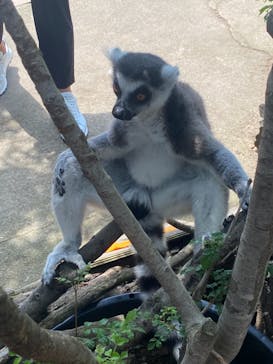 神戸どうぶつ王国に投稿された画像（2021/8/20）