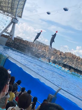 名古屋港水族館に投稿された画像（2021/8/20）