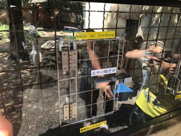 群馬サファリパークに投稿された画像（2021/8/20）