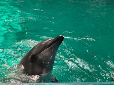 マクセル アクアパーク品川に投稿された画像（2021/8/20）