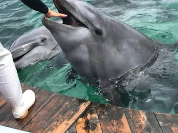 南知多ビーチランド＆南知多おもちゃ王国に投稿された画像（2021/8/20）