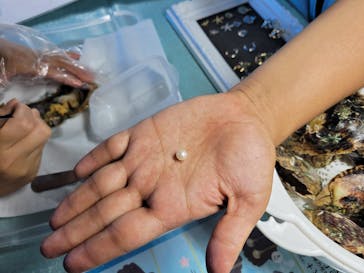 大分マリーンパレス水族館 「うみたまご」に投稿された画像（2021/8/20）