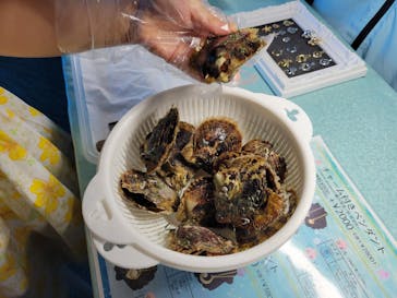 大分マリーンパレス水族館 「うみたまご」に投稿された画像（2021/8/20）