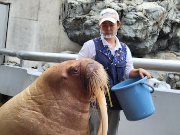 大分マリーンパレス水族館 「うみたまご」に投稿された画像（2021/8/20）