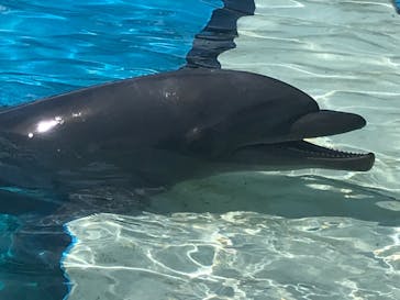 南知多ビーチランド＆南知多おもちゃ王国に投稿された画像（2021/8/20）