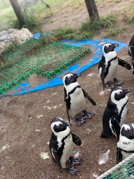名古屋港水族館に投稿された画像（2021/8/20）