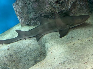 名古屋港水族館に投稿された画像（2021/8/20）