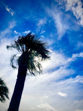 よみうりランド 遊園地に投稿された画像（2021/8/20）