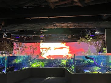 カワスイ 川崎⽔族館に投稿された画像（2021/8/20）