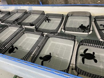 南知多ビーチランド＆南知多おもちゃ王国に投稿された画像（2021/8/20）