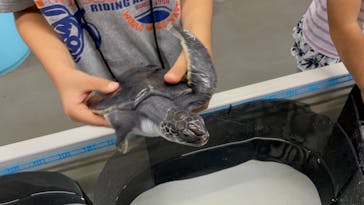 南知多ビーチランド＆南知多おもちゃ王国に投稿された画像（2021/8/20）