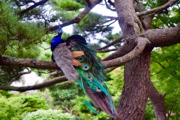 伊豆シャボテン動物公園に投稿された画像（2021/8/20）